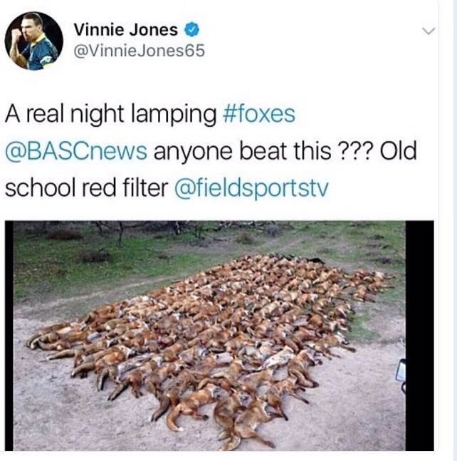 Someone should tell Vinnie Jones the strength of a man cannot be judged by how many foxes he slaughters