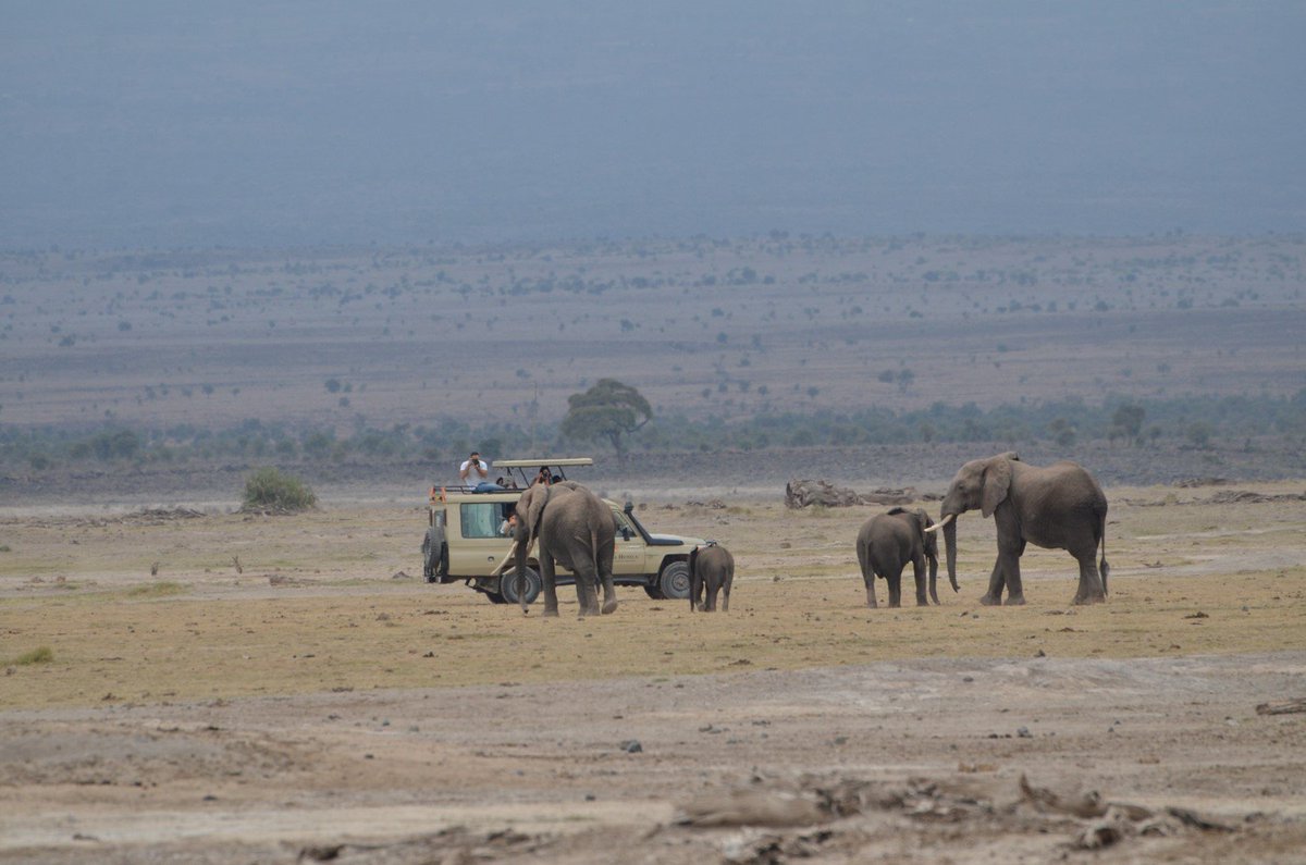 paulakahumbu's tweet photo. .@MAGICALKENYA @KWSKENYA Saving elephants w/ @amarula @wildlifedirect & celebrities in Kenya #DontLetThemDisappear #KeepTimAlive #Amboseli https://t.co/fFxqE1t0hV