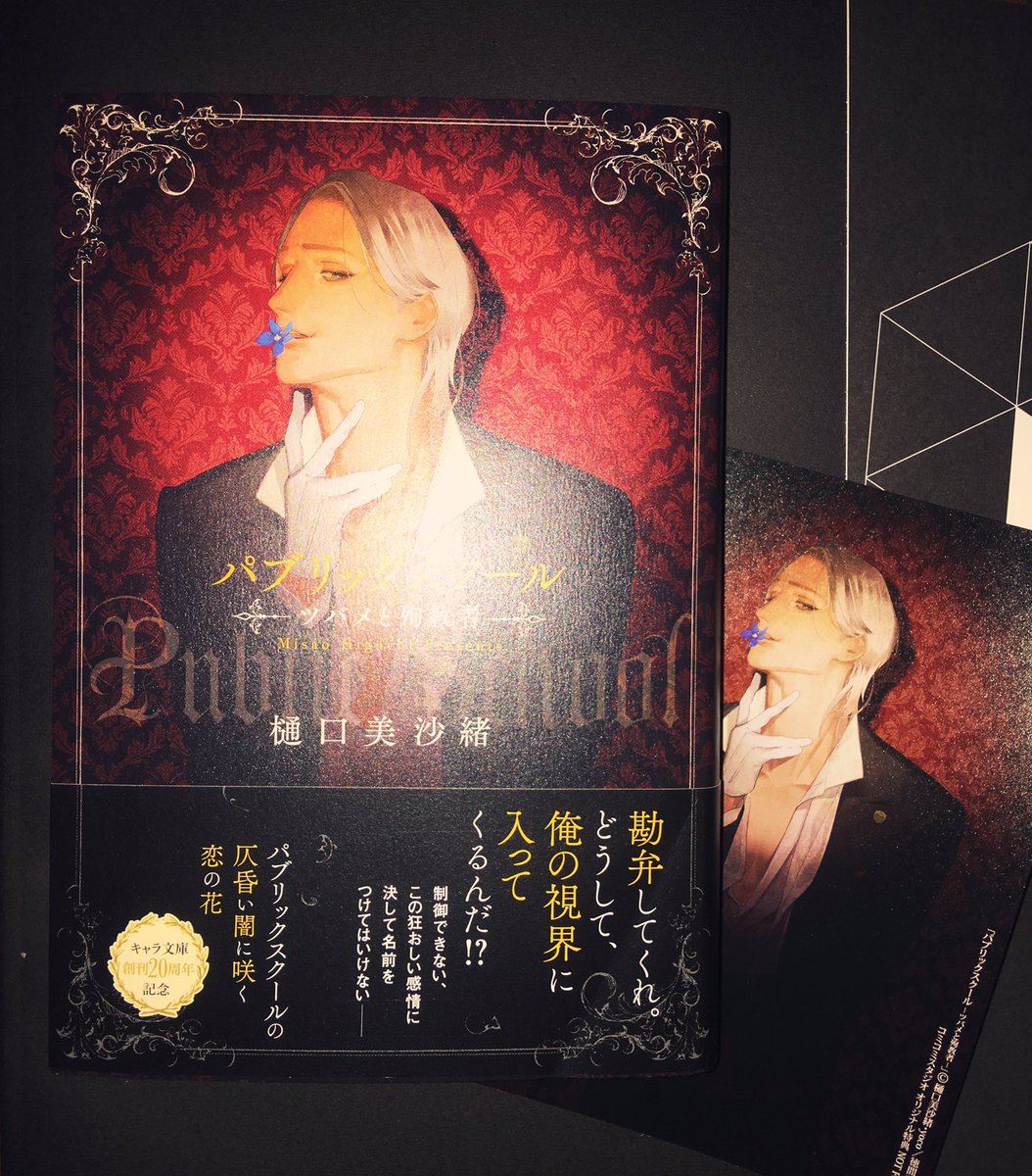 Akira V Twitter 樋口美沙緒先生の パブリックスクール ツバメと殉教者 を読んでしまいました とっても感動しました 人を愛するために 自分を犠牲にしてもいいという献身的な愛です 愛には不器用な2人が お互いに愛し方を教え合って 救い合うのは素敵です