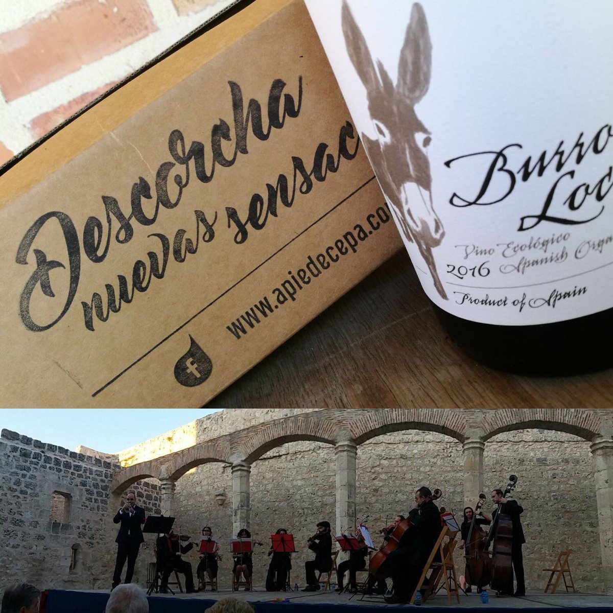 A pie de cepa tweet media