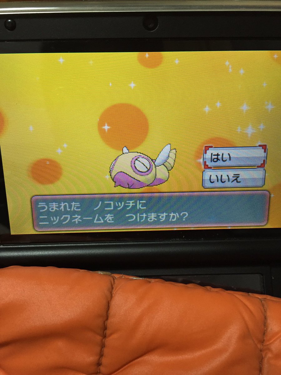 ノコッチ 色粘り Nokonokocch Twitter ノコッチ 色粘り Nokonokocch Twitter