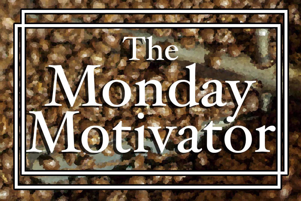 Radina's Coffeehouse tweet media