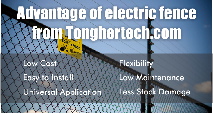 tonghertech's tweet photo. Advantage of #electricfence from https://t.co/iq1MXDu85c
#LowCost #EasytoInstall #UniversalApplication #Flexibility: https://t.co/CLdXdoBGTG https://t.co/2k6qOujqlh