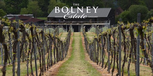 Congratulations!!
Sussex-based <a href="/Bolneyestate/">Bolney Wine Estate</a> 
wins prestigious Winery of the Year title
at the inaugural  UK #wine Awards