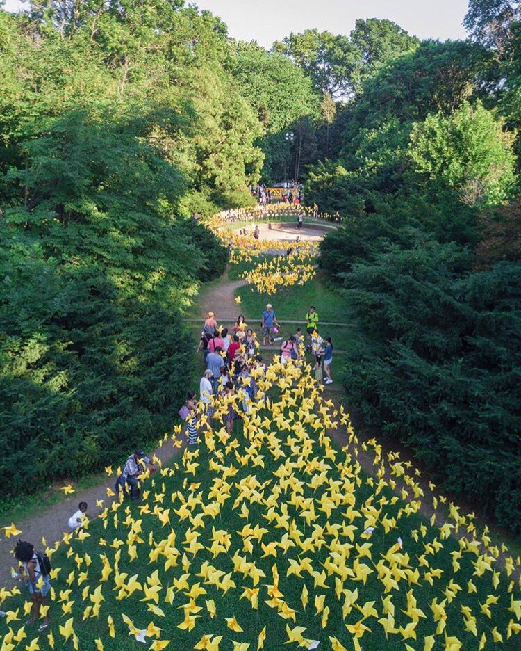 yulingdesigns's tweet photo. Our artwork was featured in the Connective Project, celebrating 150 years of Prospect Park. #connectiveproject #prospectpark150 @GSBDigital https://t.co/fOlRjJfiqg