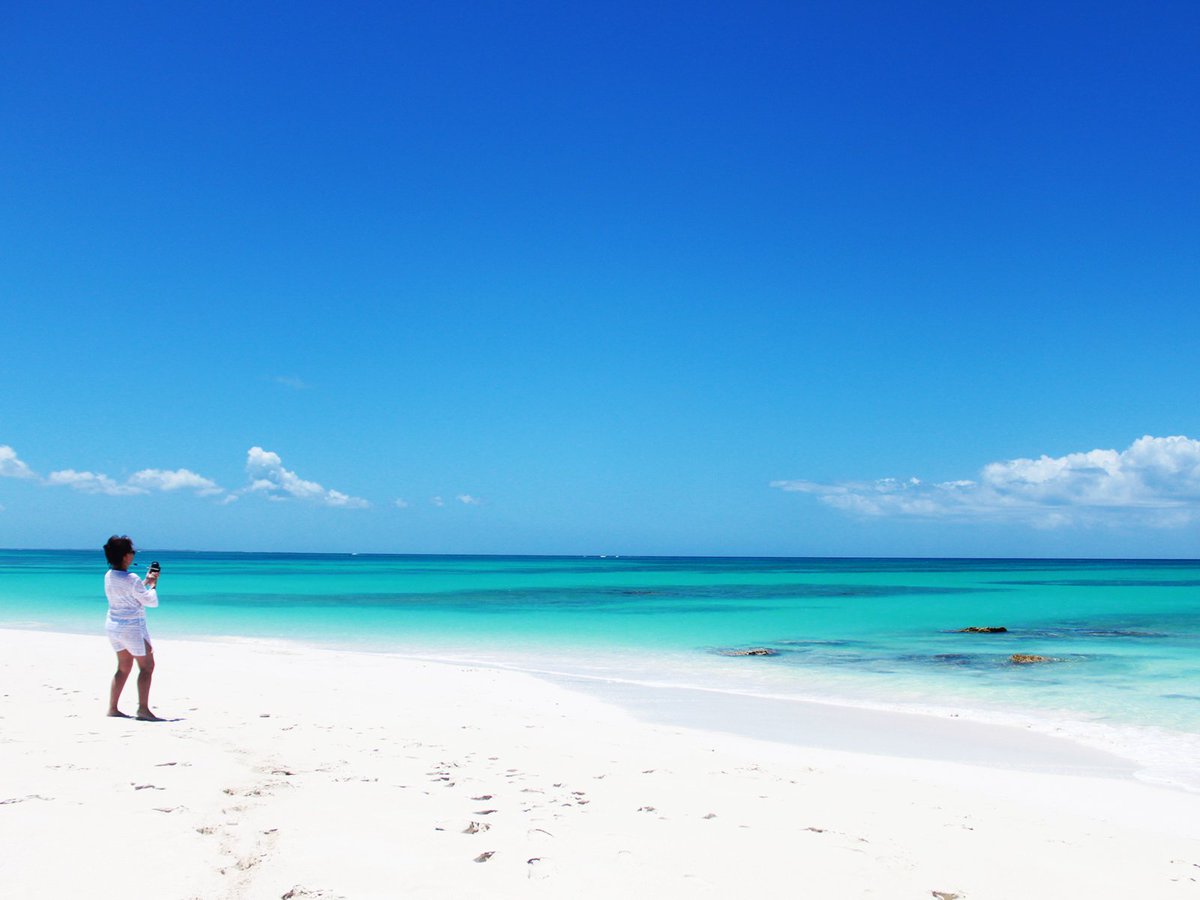 This could be you! Right now! #travel #travelbug