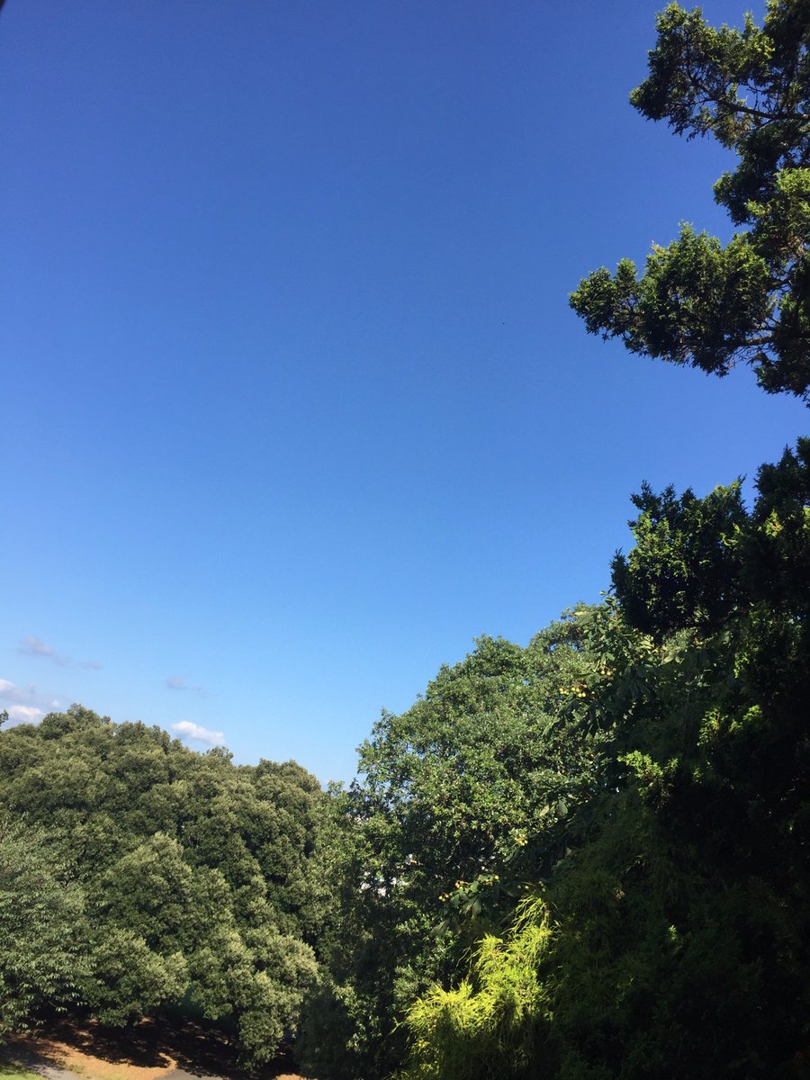 Beautiful blue sky from our office windows. What's the weather like where you are?