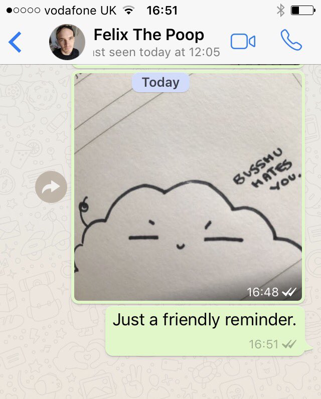 MarziaPie's tweet photo. Felix likes to ingore my messages so I ended up making a new sassy friend. https://t.co/FFu67FLOVO