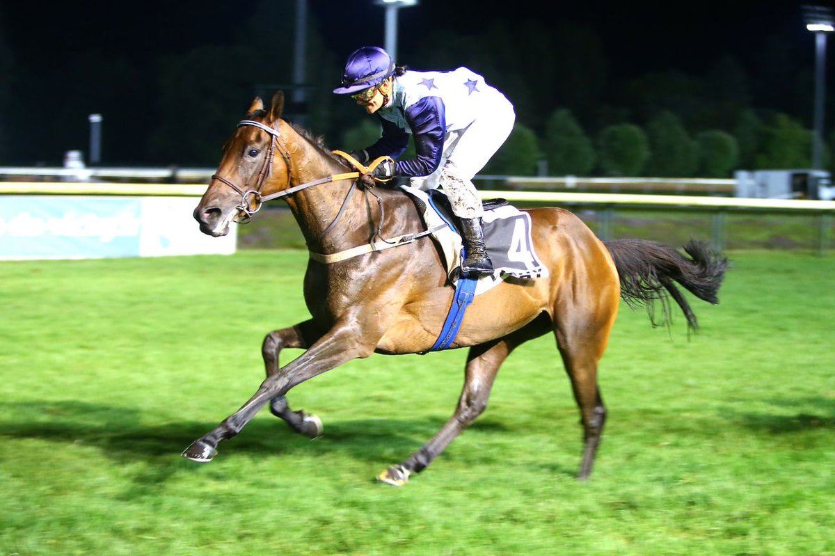 Congrats #Aqps #thefrenchChaser Demey in the NHFlat Aqps Gr3. Well done to his connections <a href="/ACouetil/">Alain Couetil</a> <a href="/marylineeon/">Eon</a>