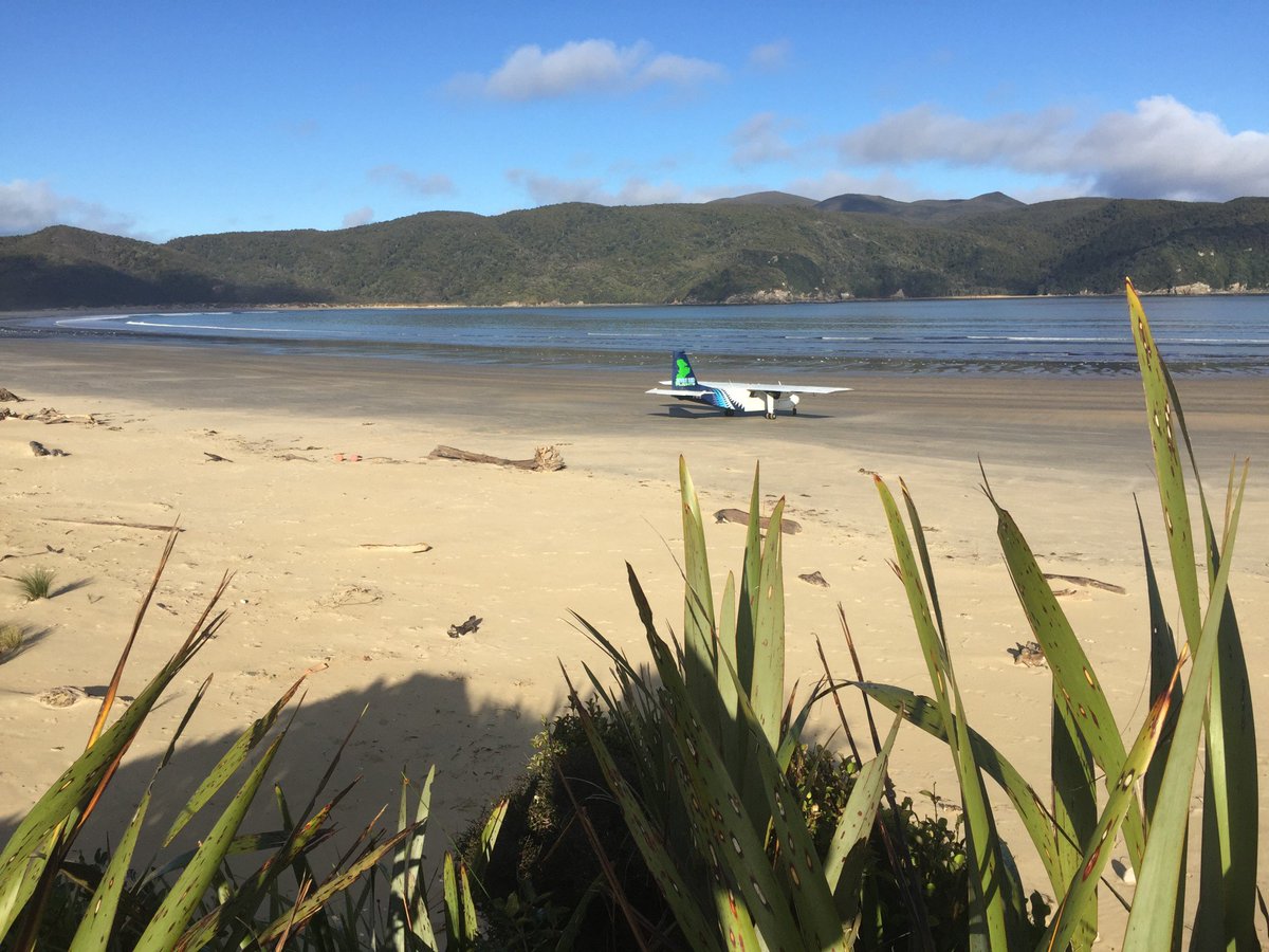 BrittenNorman's tweet photo. Looking forward to seeing footage from the remote Mason Bay in NZ from Stewart Island Flights who have joined the #Islanderaction campaign https://t.co/57Z8btfxd0