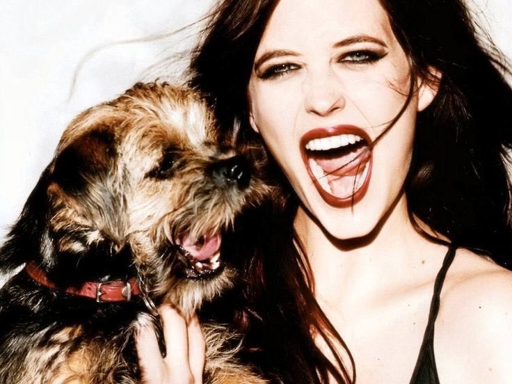 *sends this to <a href="/SamuletJerkDean/">Dean Winchester</a>* May or may not have found a fury friend...