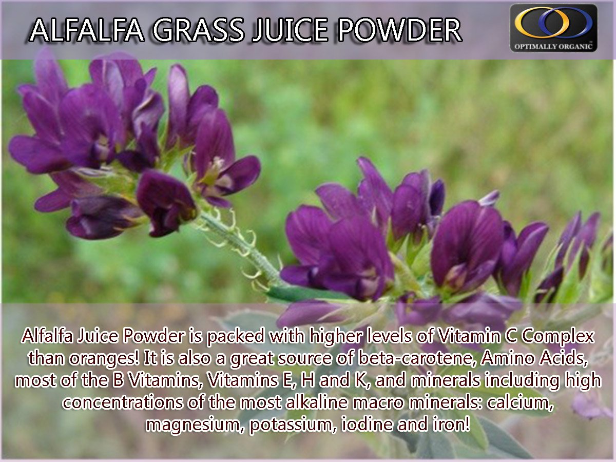 OptimallyO's tweet image. Raw organic alfalfa grass juice powder is packed with high levels of Chlorophyll and Antioxidants. #organicproduct #organicsolution