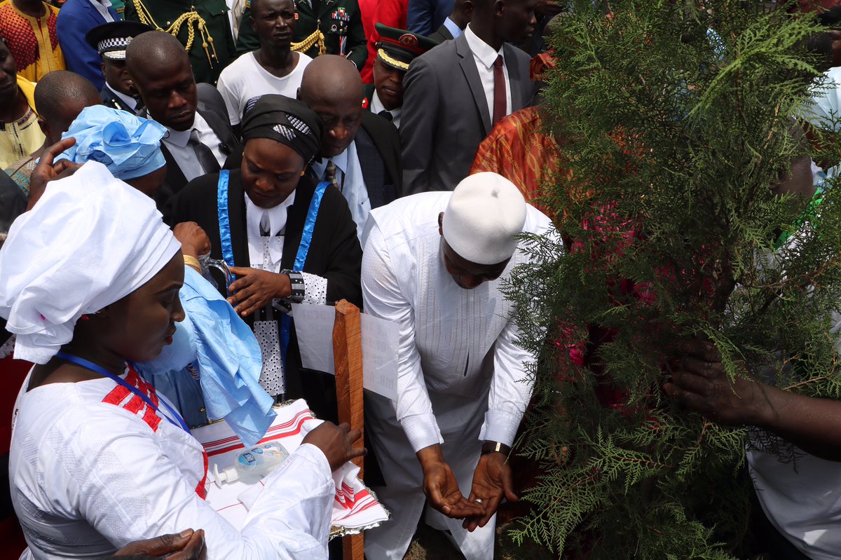 richard_uku's tweet photo. @BarrowPresident planted a pine tree at #Gambia Nat Assembly today to commemorate t 40th anniv of #BanjulDeclaration https://t.co/yjpm3y0mSv https://t.co/KMOwdxH2af