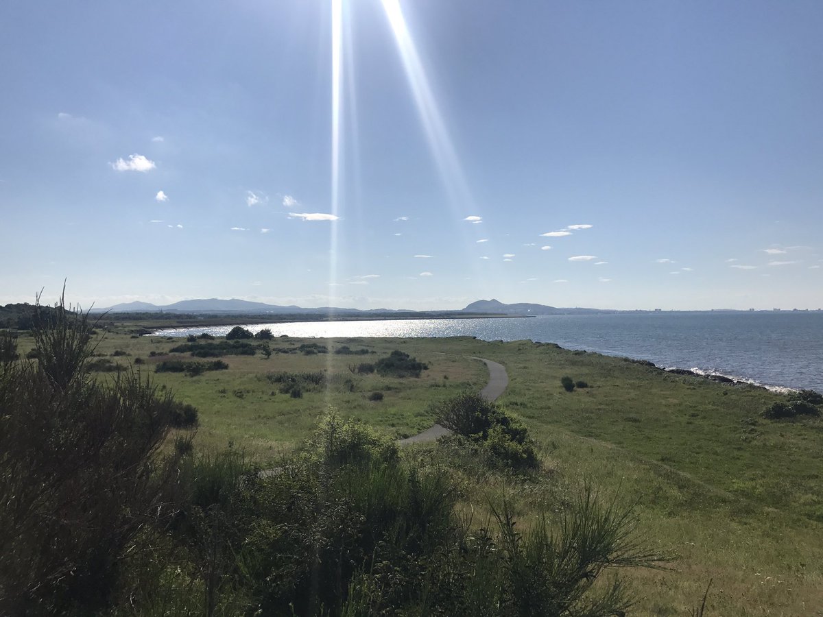 RichardPaton4's tweet photo. Scottish summer https://t.co/bOTzg3zdld