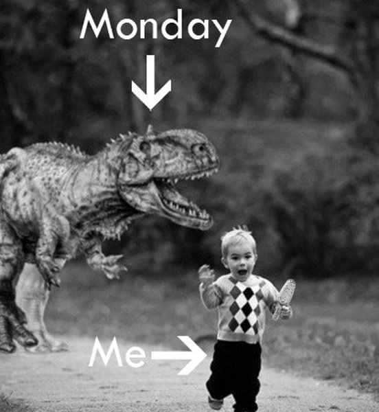 ticklebelly's tweet photo. You mean to tell me #cakebars don't fix everything? Thank goodness this only happens once a week! #Ticklebelly #MondayMadness https://t.co/rB9spWfZJs