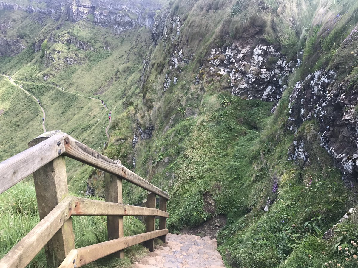 Evan O'Regan tweet media