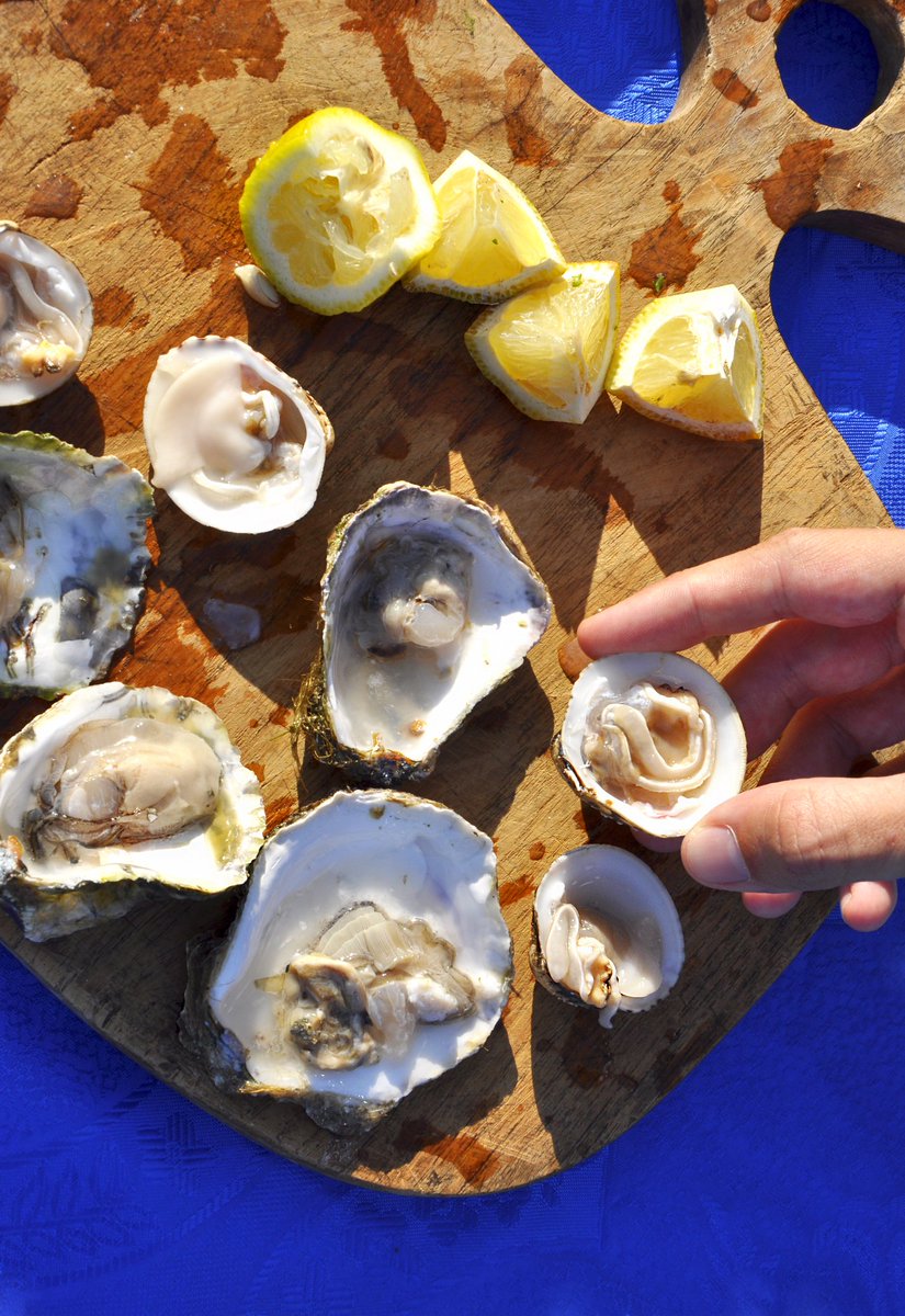 Dinner at the oyster farm with <a href="/BonAppetour/">BonAppetour</a> 
alexblocktravels.com/2017/07/day-23…