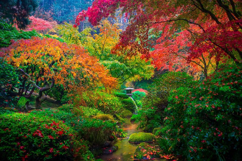 A Japanese Garden in Portland, USA #strongcore #UrineControl bit.ly/2sPwZK5