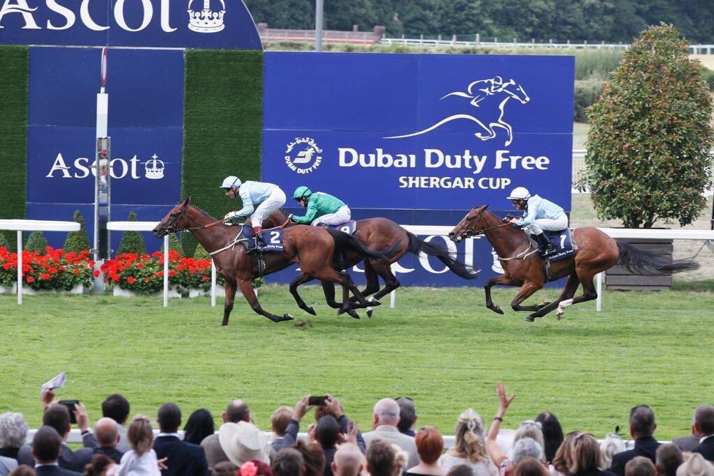 DDFRacing's tweet photo. Happy Monday! FOLLOW &amp; RT for a chance to win 2 tickets to the Dubai Duty Free Shergar Cup @Ascot on Sat 12th Aug! https://t.co/RRVW8nfViZ