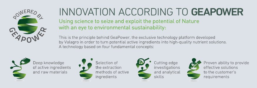 SyngentaBiolUS's tweet photo. #GeaPower technology is the basis for Valagro's agricultural solutions. Learn about the science behind it: https://t.co/0zWVx4Rsoz https://t.co/101caKwNYe