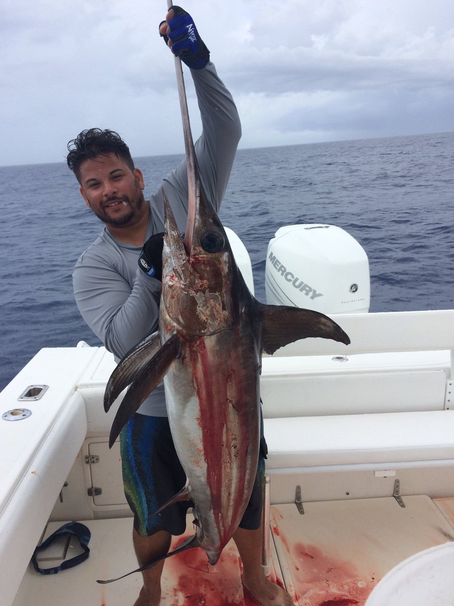 NewLatt Sportfishing tweet media