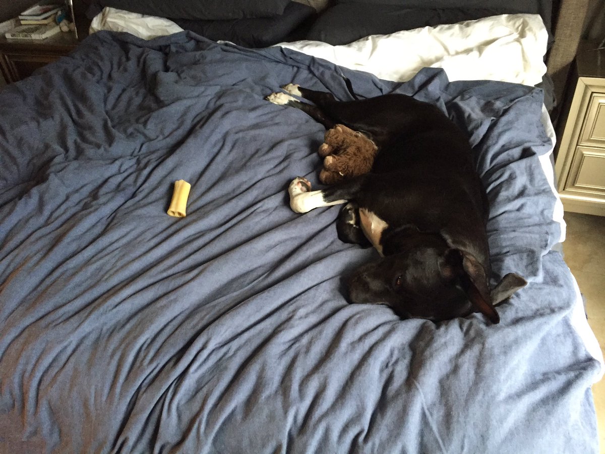 caymanthor's tweet photo. Monday's are tough https://t.co/EoEwv2UrX1