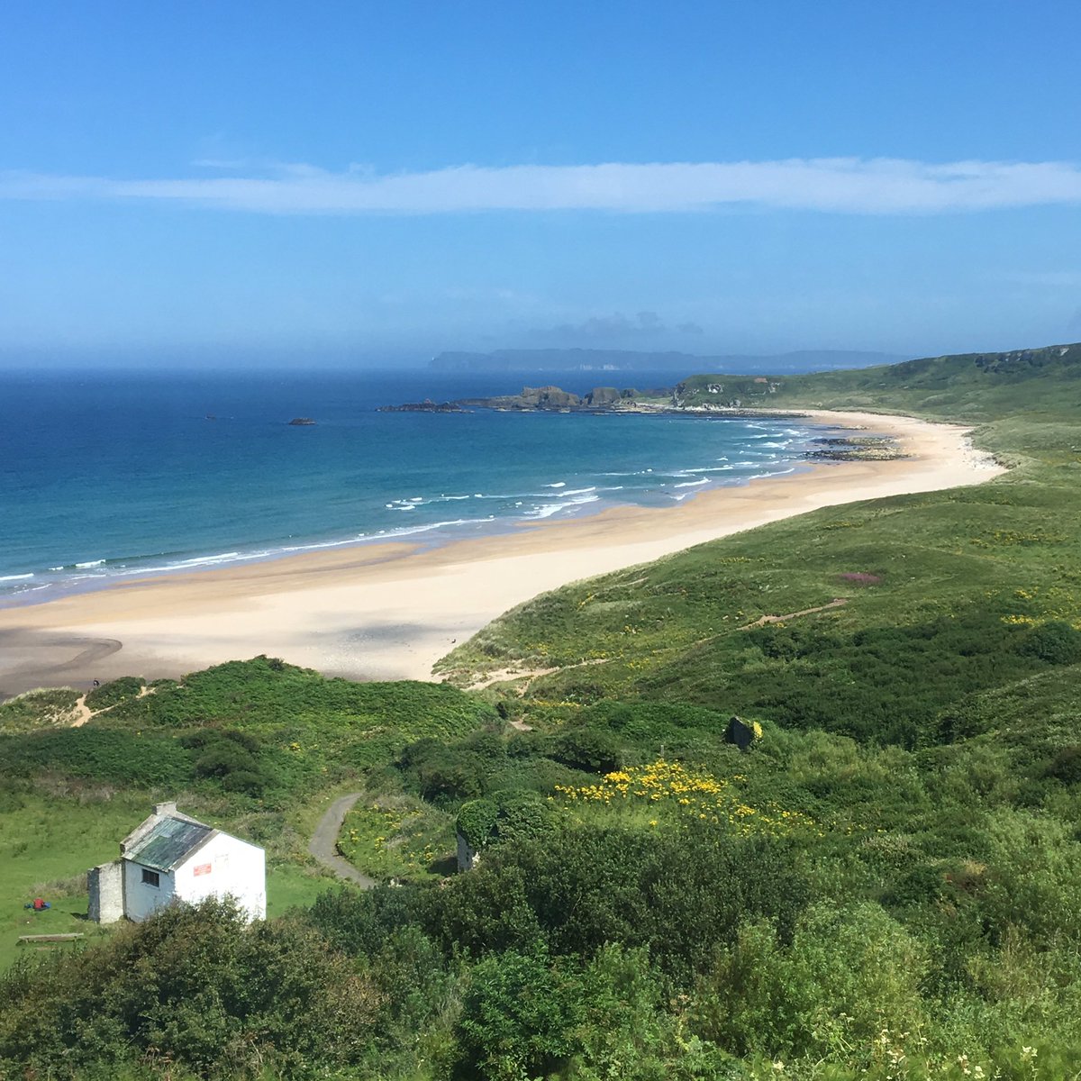 Kathleen Toner tweet media