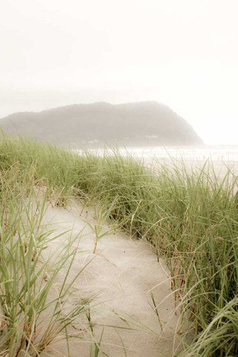 FoundObjectsSea's tweet photo. Sometimes the fog is just as beautiful as a clear day. #beachmusic #summerpath #inspiration #foundobjects #dailywalk https://t.co/XgaYNjCw3U