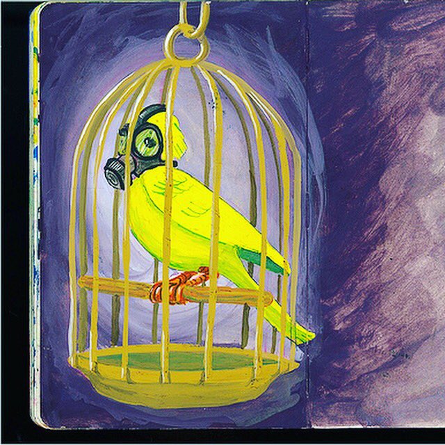 TroysAdvocate's tweet photo. Inclusion is the canary in the coal mine. How do we fix the system? https://t.co/HRlYMppnrS #inclusionevolution #advocacymatters https://t.co/MBPVwu2Q0E