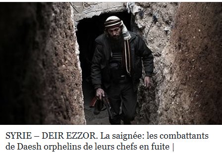 KneRokhaya's tweet photo. La débandade dans le milieu #daeshien. C'est du Chacun pour soi et Dieu pour personne d'entre eux. Encore une fois ce n'est pas par l'épée.. https://t.co/8hNbtWg5U1