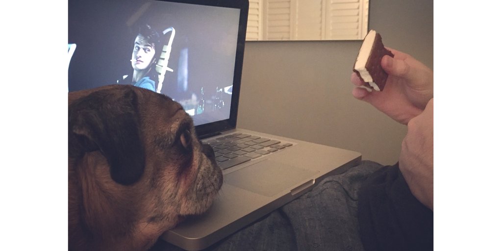 Pepe_le_Pug's tweet photo. Spent this weekend binge watching #Netflix (and the food in his hand) with my dad #YLM16 #YMCALocalMOTION https://t.co/xyKqOJ5piO