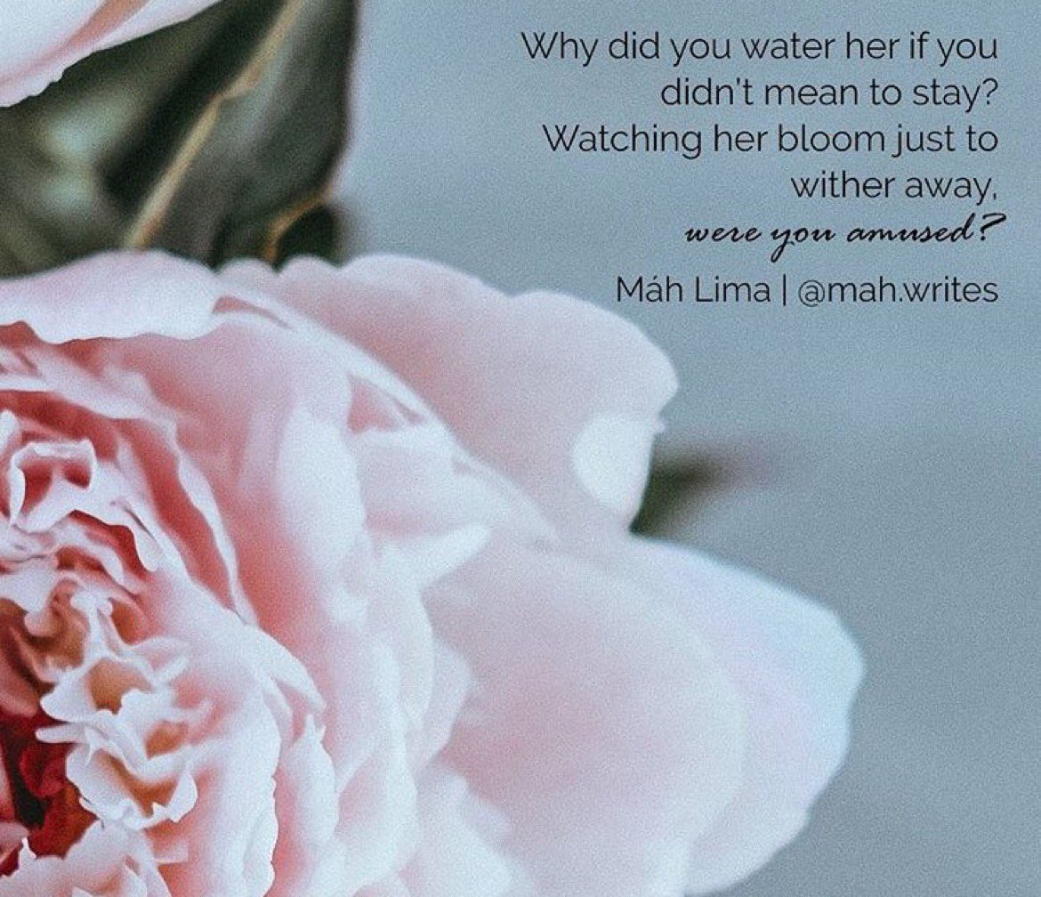 "لماذا ترويها إن لم تكن تنوي البقاء؟
تشاهدها تزدهر فقط لتذبل بعيداً
هل كنت مستمتع ؟! "
ترجمة 🌟

#حروف_وقهوة