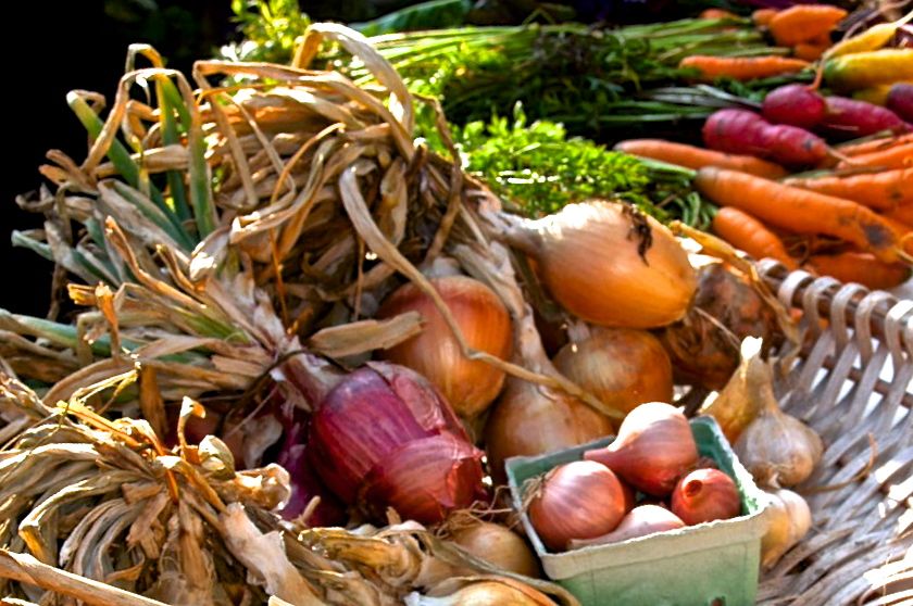 CanadianOrganic's tweet photo. New study by @CanadaOrganic looks at organic regulation across the country &amp; calls for more regulation: https://t.co/6GFDjUZgyK https://t.co/Xz6yj03VH4