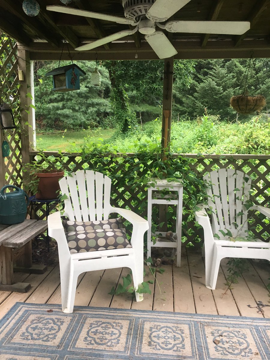 hexeschlechte's tweet photo. my porch looked like the entrance to a fairy garden this morning https://t.co/vACxwGj5Bp