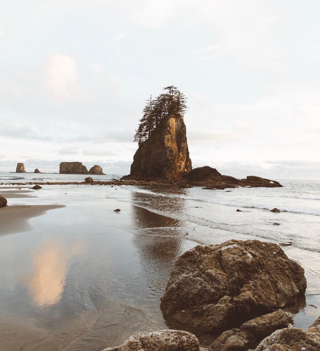 coffee_n_mtns's tweet photo. Washington Coast https://t.co/YQjylSncv7