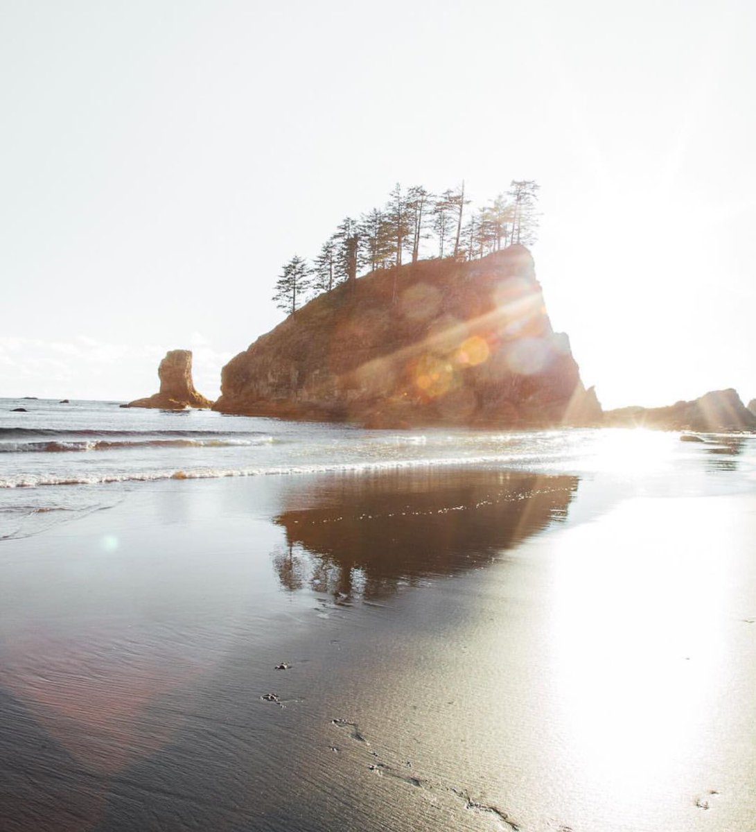 coffee_n_mtns's tweet photo. Washington Coast https://t.co/YQjylSncv7