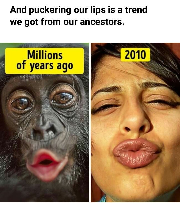 bipinchauhan's tweet image. And #Puckering our #Lips is a trend we got from our ancestors.
#KBC 🇮🇳