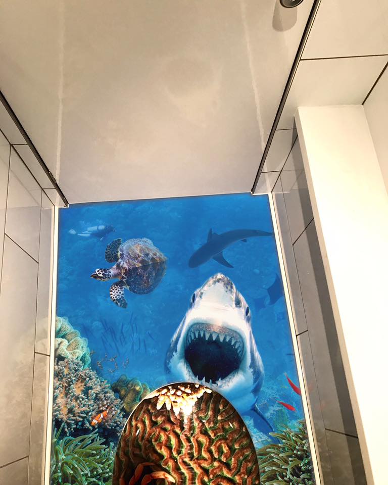ImagingofThings's tweet photo. Helping kick-off 🦈  #SharkWeek w/ @grafixsigns custom walls &amp; flooring printed using @EFIPrint #VUTEk! https://t.co/OK2UrC1sLg
