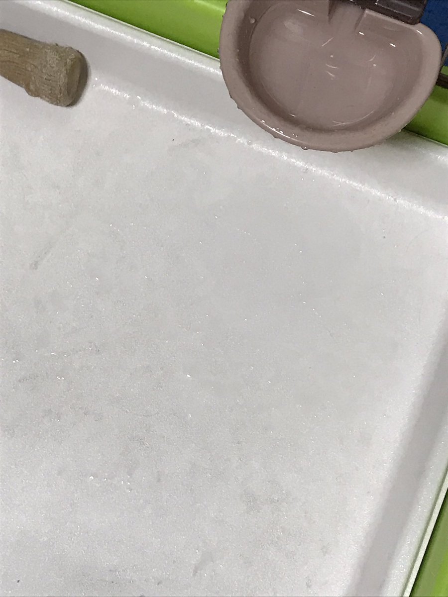 Uzivatel もりお Na Twitteru とうじは水飲みが激しいです サークルがびちゃびちゃです 志村けんのスイカみたい ポメパピ ポメヨン ポメラニアン パピヨン 犬 ミックス犬