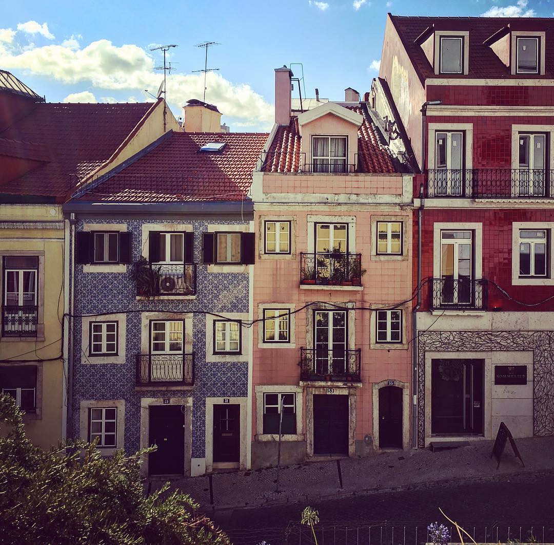 visit_lisboa's tweet photo. Details that make Lisboa wonderful!

#VisitLisboa
Photo by joseaugusto78 https://t.co/on3joagyyd