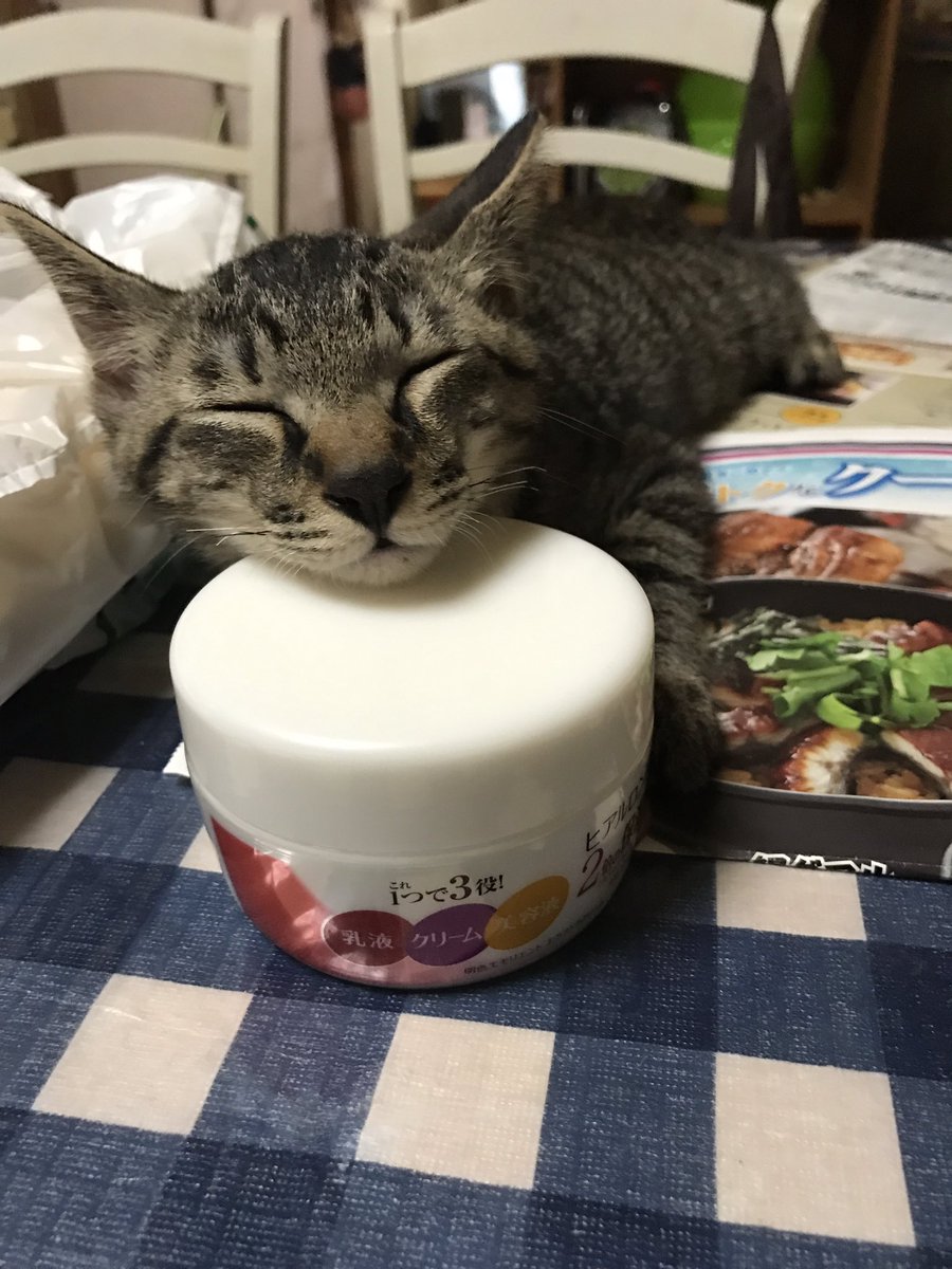 futarou0518's tweet photo. 顎枕にちょうどエエねん😼

#アゴ枕
#おやすみなさい
#風太郎 https://t.co/zGTT6CWoWJ