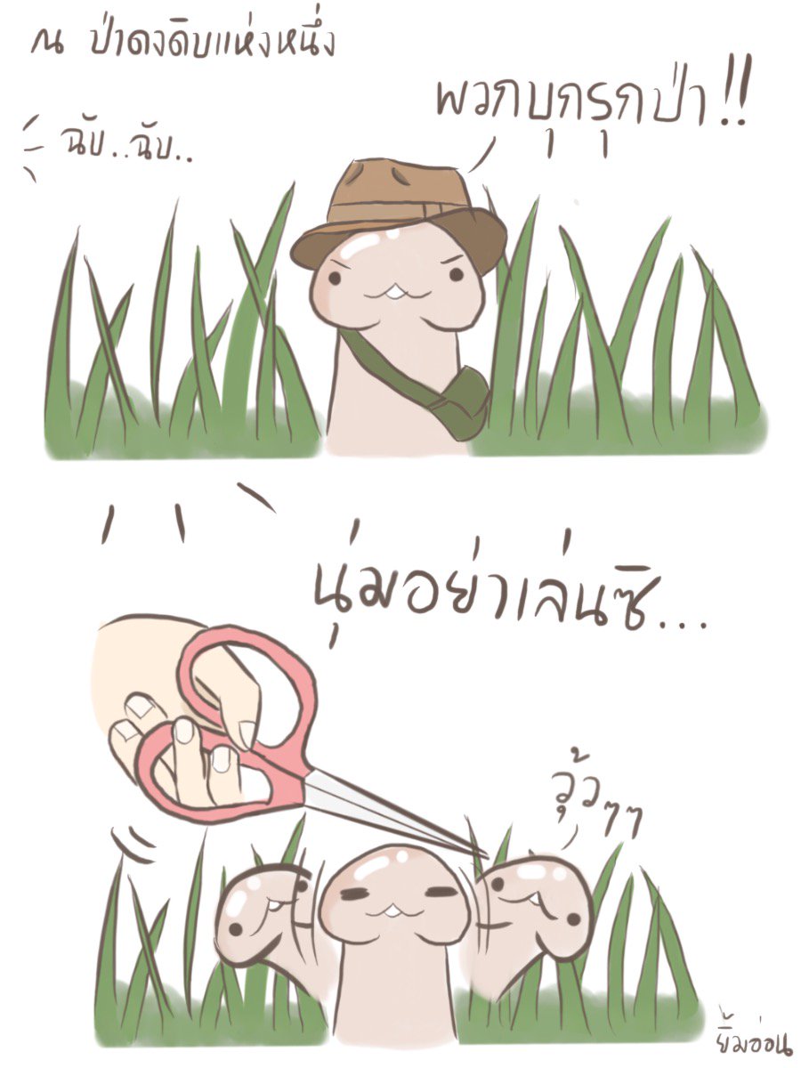 yimonnn's tweet photo. อินเดียนน่านุ่มกับภารกิจปกป้องผืนป่า https://t.co/cJ41o3d86z