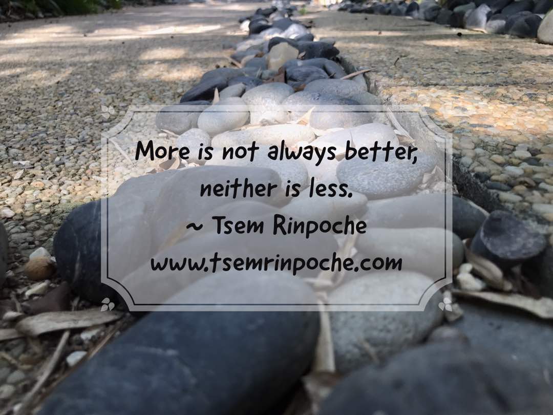 OuilamChua's tweet photo. More is not always #better, neither is less. @tsemtulku
#Wisdom
#WhatMatter
#Mind
#Motivation
#ChooseLove
#BeSmart
https://t.co/rssaaUP9k4 https://t.co/kZfEaVUpM1