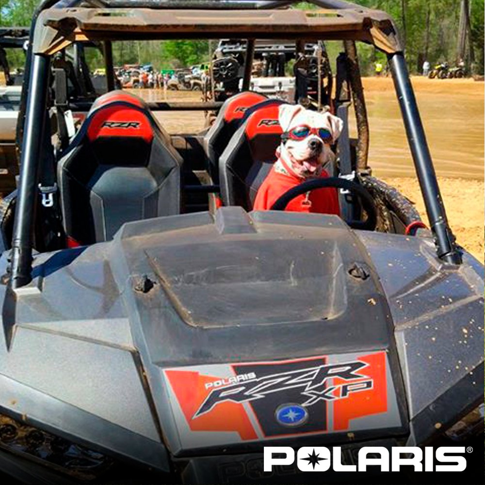 polaris_py's tweet image. Porque las aventuras se disfrutan al limite con los mejores amigos #Polarispy
¿Cómo pasaste el fin de semana?
