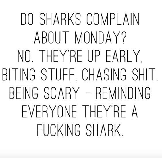 Just one more reason my brother, who is half shark, will always be my Mother's favorite. 🦈 #sharkweek