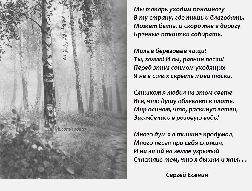 Сергей есенин картинки со стихами