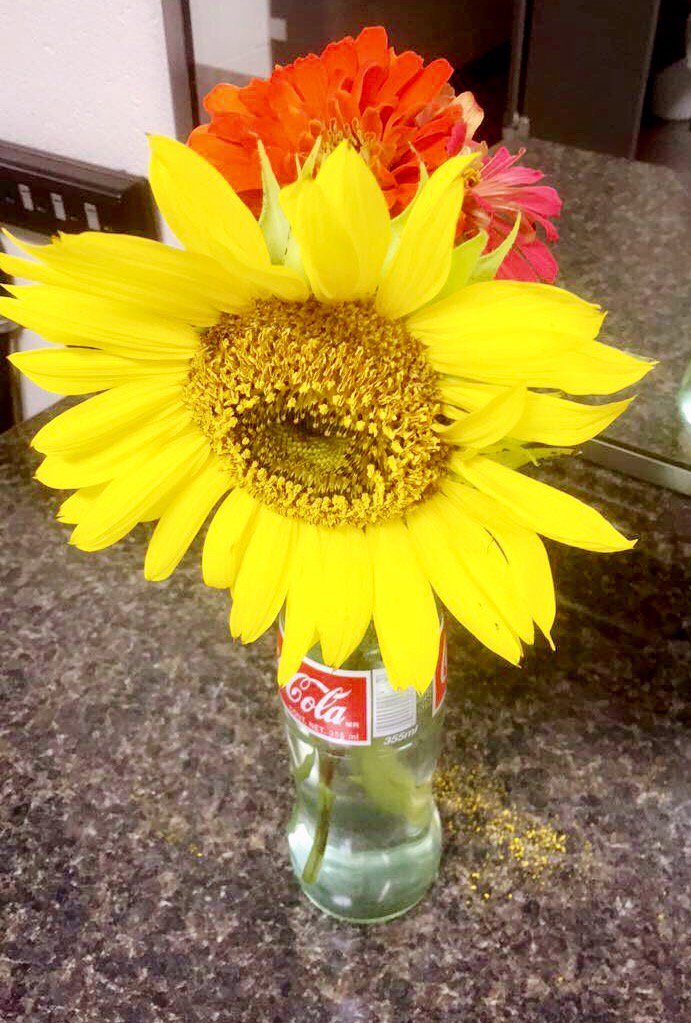 TIFTAREAYMCA's tweet photo. Thank you to Carol Dodson for bringing us several of these beautiful bouquets from her garden  #WELOVEOURMEMBERS https://t.co/mgM8iKTinP
