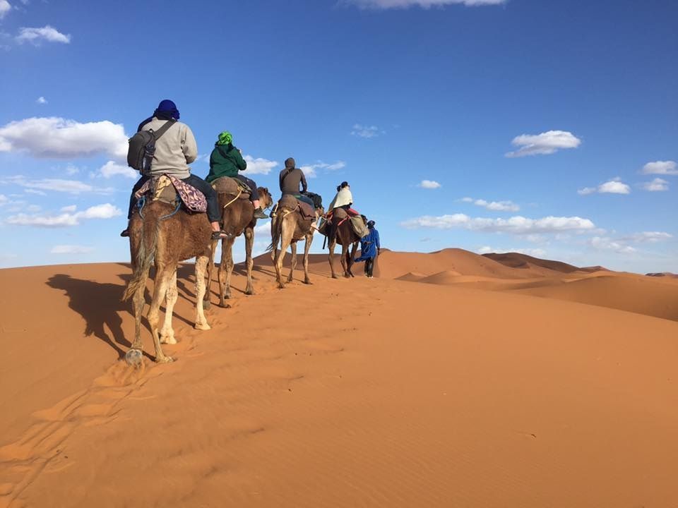 magical_morocco's tweet photo. Curious about a visit to Morocco ? Watch this YouTube movie  https://t.co/dbwoR2M9mm #travel #holiday #explore #tour #morocco #vlog #youtube https://t.co/nn5epJIkDp