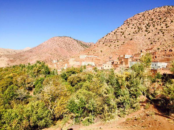 magical_morocco's tweet photo. Curious about a visit to Morocco ? Watch this YouTube movie  https://t.co/dbwoR2M9mm #travel #holiday #explore #tour #morocco #vlog #youtube https://t.co/nn5epJIkDp