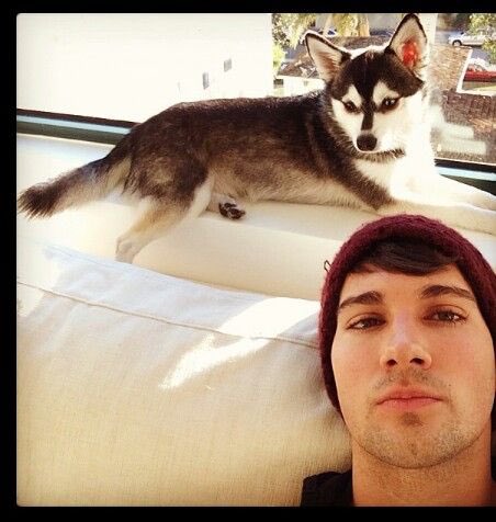 sassmazlow's tweet photo. I miss #FoxPhotoFriday 😞 https://t.co/OnhLMZ2lxN